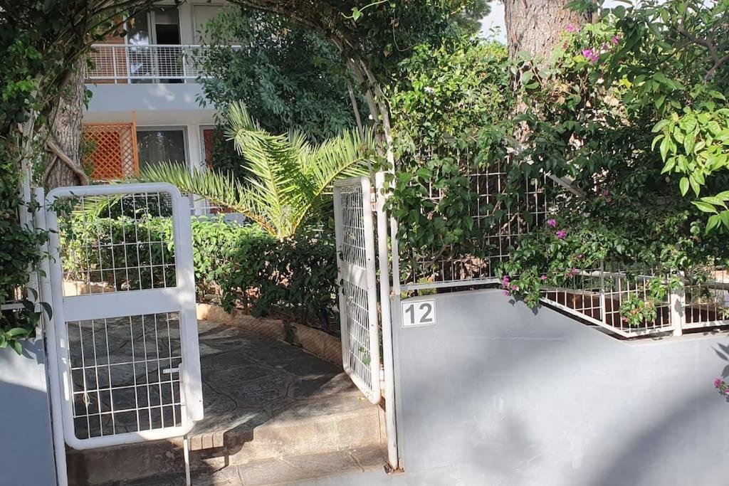 Seaside Beauty 5 Min Vouliagmeni Apartment *